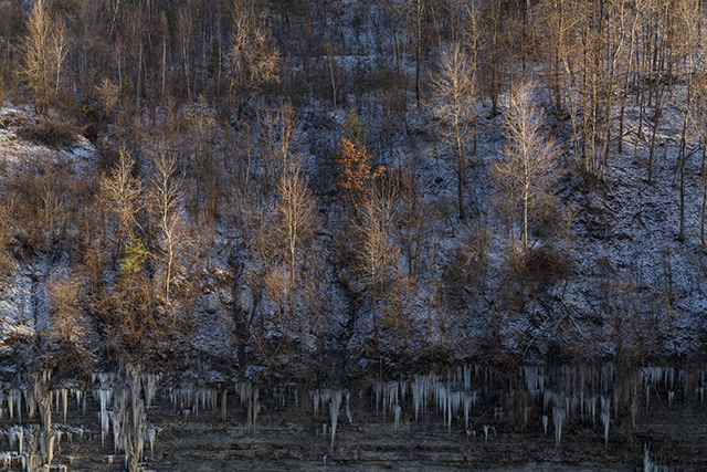 Tamron 35-150mm F2-2.8 Di III VXD Review -- Gallery Image