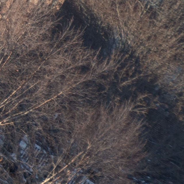 Tamron 35-150mm F2-2.8 Di III VXD Review -- Gallery Image