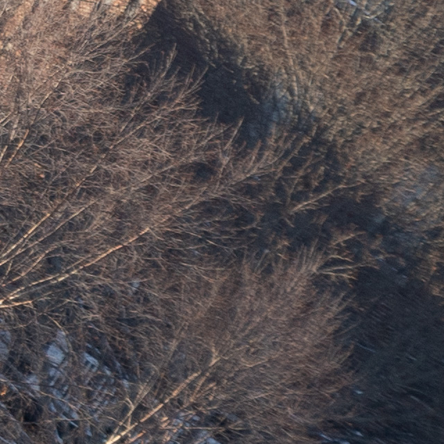 Tamron 35-150mm F2-2.8 Di III VXD Review -- Gallery Image