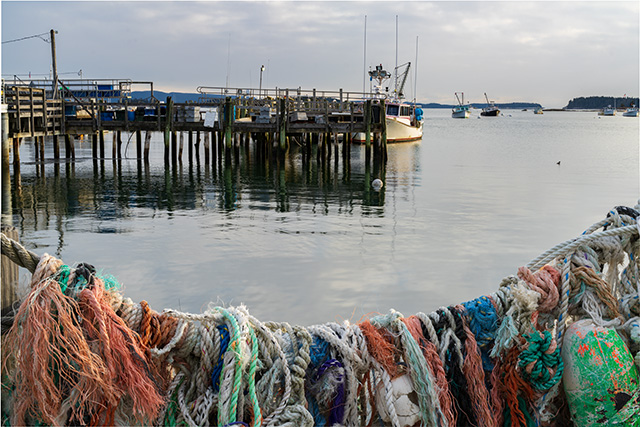 Tamron 35-150mm F2-2.8 Di III VXD Review -- Gallery Image