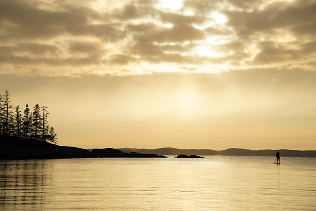 Tamron 35-150mm F2-2.8 Di III VXD Review -- Gallery Image