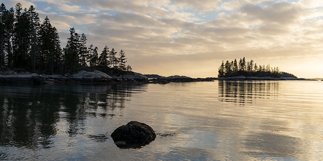 Tamron 35-150mm F2-2.8 Di III VXD Review -- Gallery Image