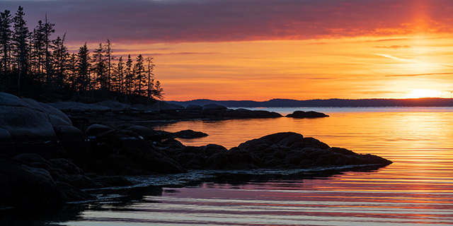 Tamron 35-150mm F2-2.8 Di III VXD Review -- Gallery Image